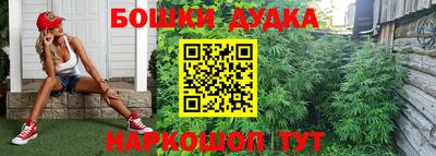 каннабис Будённовск