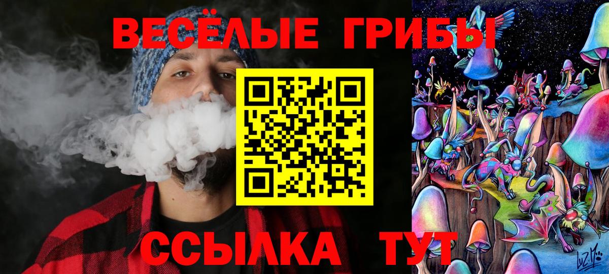 Псилоцибиновые грибы Psilocybine cubensis  как найти   Белая Калитва  Вход с VPN  Псилоцибиновые грибы Psilocybe 